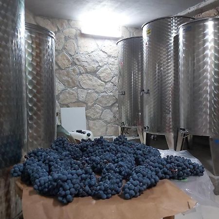 Apartman Genova Imotski Donji Vinjani Екстер'єр фото